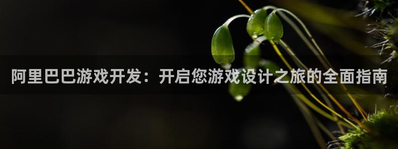 沐鸣娱乐2代理