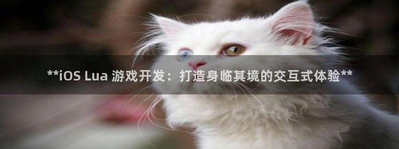 沐鸣2官方