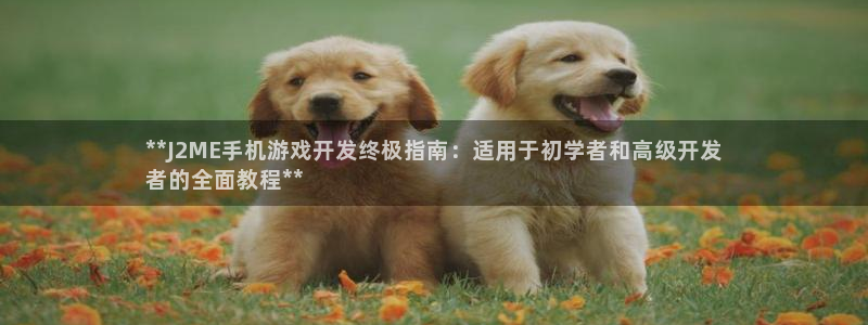 沐鸣2注册登入