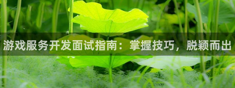沐鸣2平台开户
