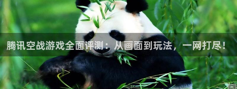 沐鸣2代理官网