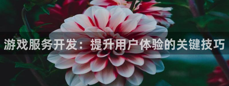 沐鸣2选 37OO735：游戏服务开发：提升用户体验的关键技巧