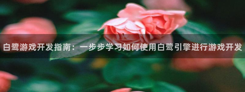 沐鸣2app：白鹭游戏开发指南：一步步学习如何使用白鹭引擎进行游戏开发