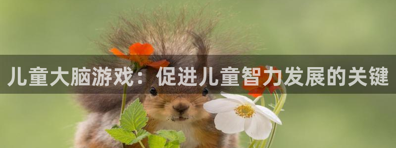 沐鸣2官网 5O6917：儿童大脑游戏：促进儿童智力发展的关键