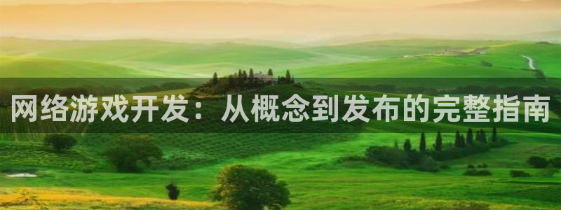 沐鸣2官网网址：网络游戏开发：从概念到发布的完整指南