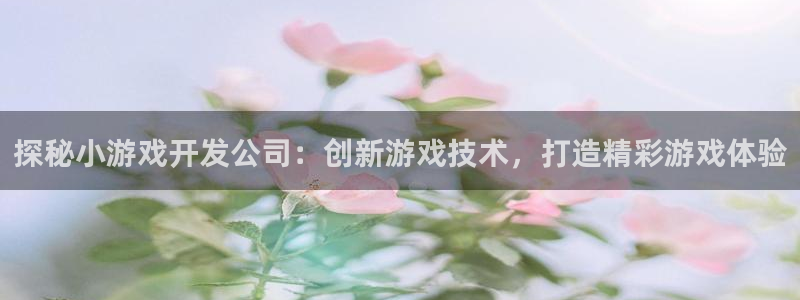 沐鸣2注册登录：探秘小游戏开发公司：创新游戏技术，打造精彩游戏体验
