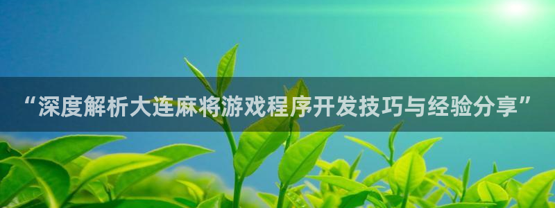 沐鸣2平台注册流程：“深度解析大连麻将游戏程序开发技巧与经验分享”