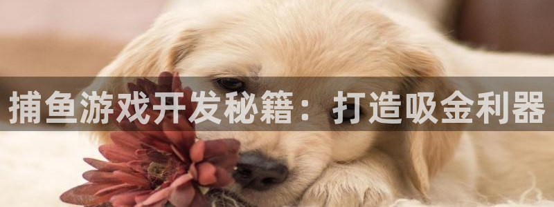 沐鸣2多少年：捕鱼游戏开发秘籍：打造吸金利器