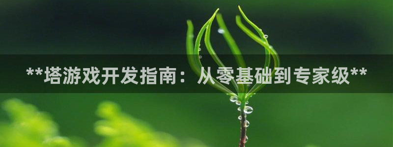 沐鸣娱乐2注册官网：**塔游戏开发指南：从零基础到专家级**
