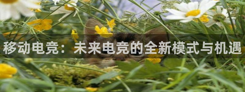 米兰电竞游戏：移动电竞：未来电竞的全新模式与机遇